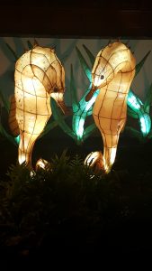 lanternes hypocampes