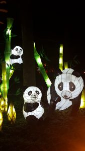 jardins de lumière pandas