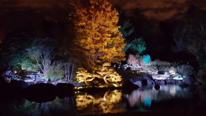 jardins de lumière - jardin du japon