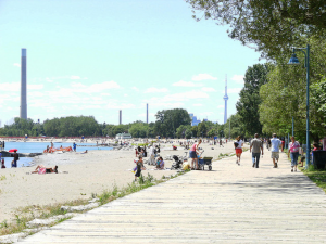 beaches cn tower parkbench