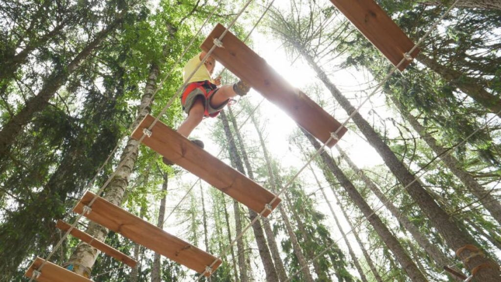 Arbre en arbre, pont suspendu